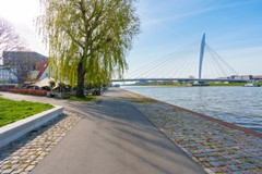 Omgeving Auriollaan brug.jpg